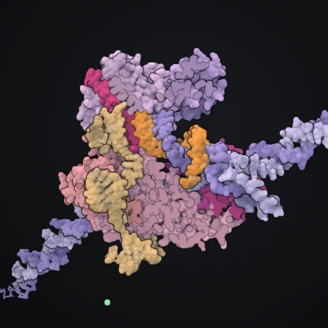 Cas9, rendered from PDB coordinates