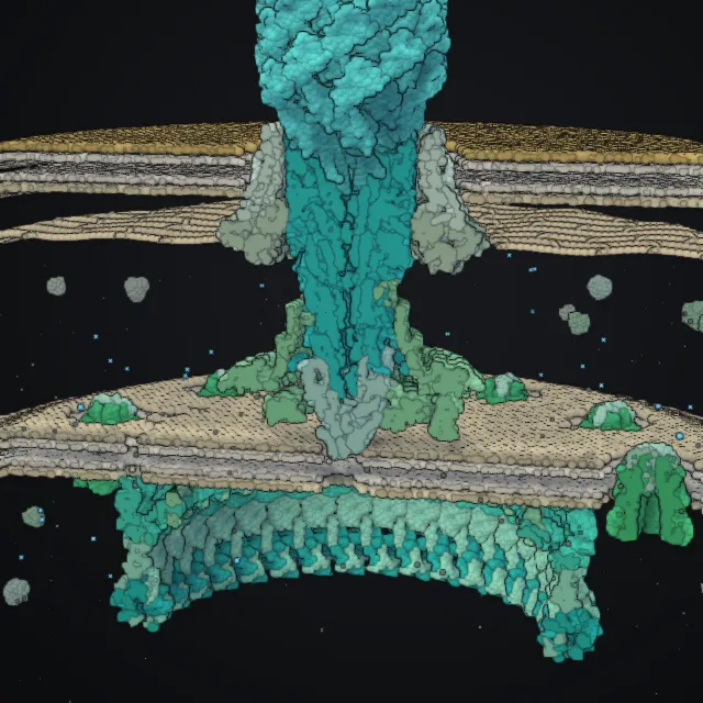 Bacterial flagellar motor, rendered from PDB coordinates